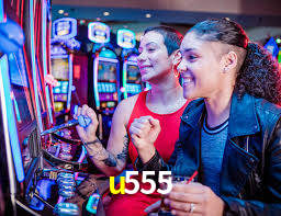 Interface Premium u555